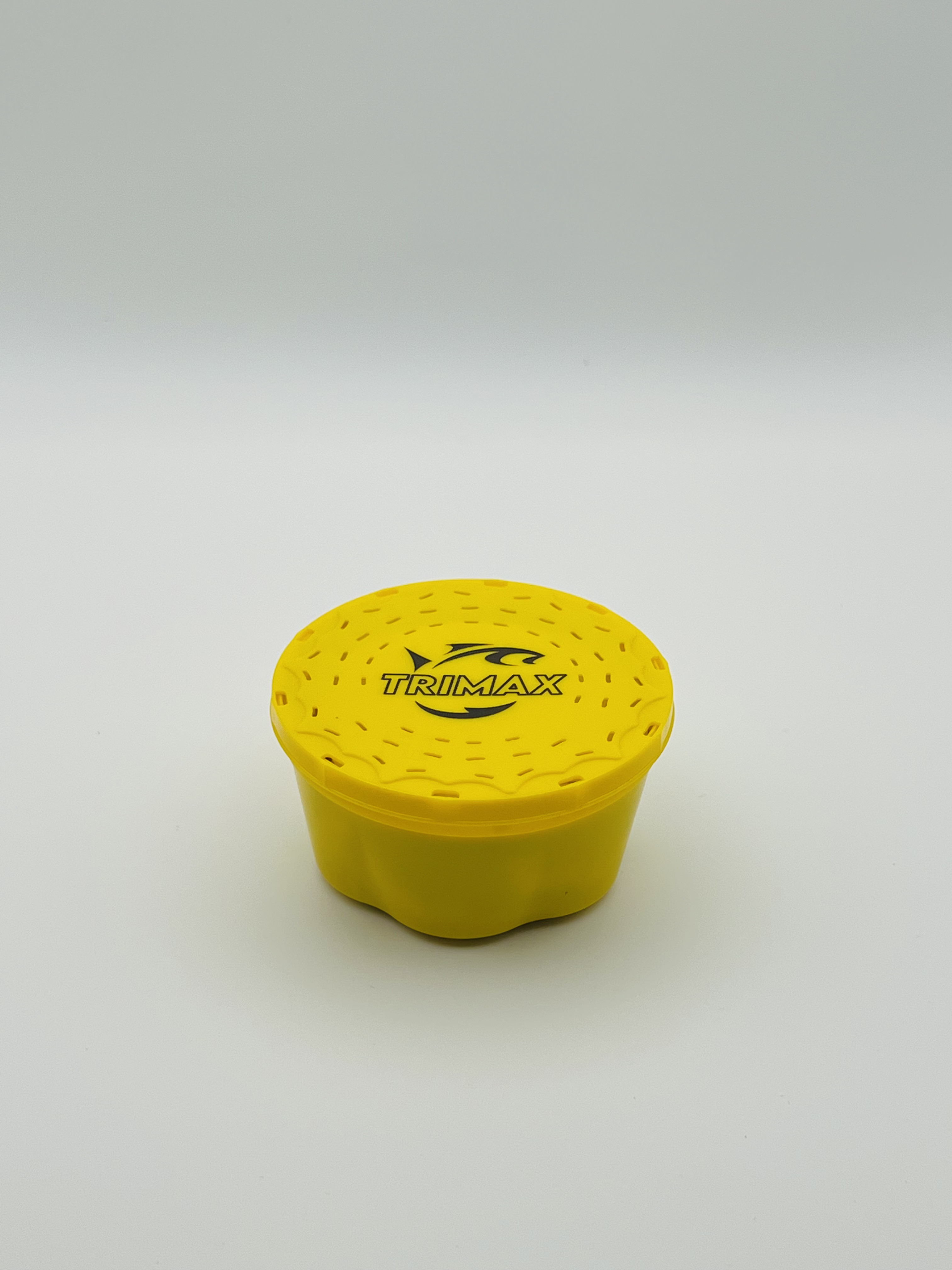 Immagine non trovata