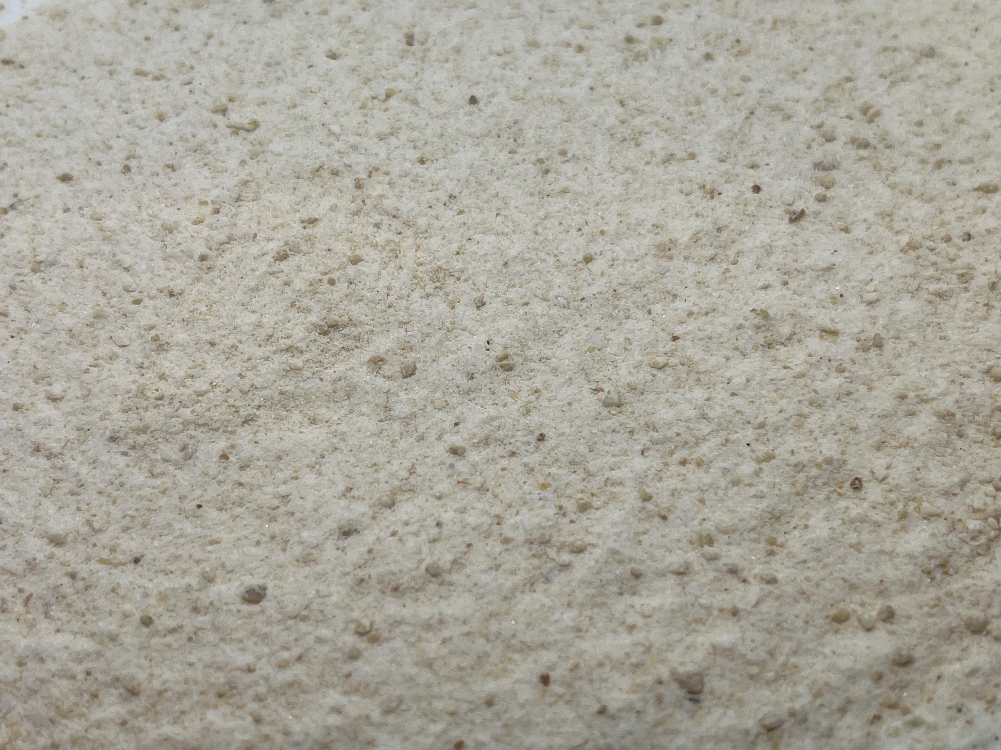 Immagine non trovata