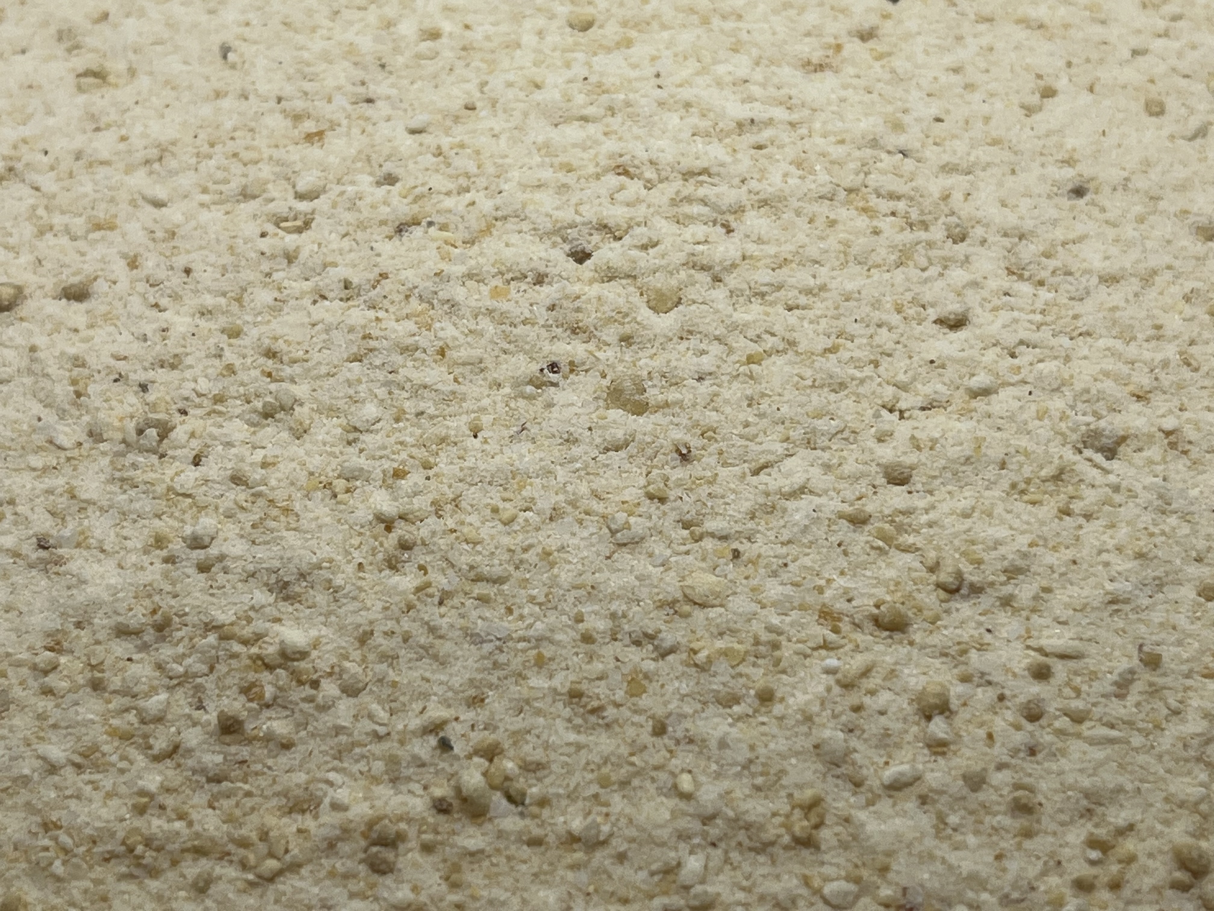 Immagine non trovata