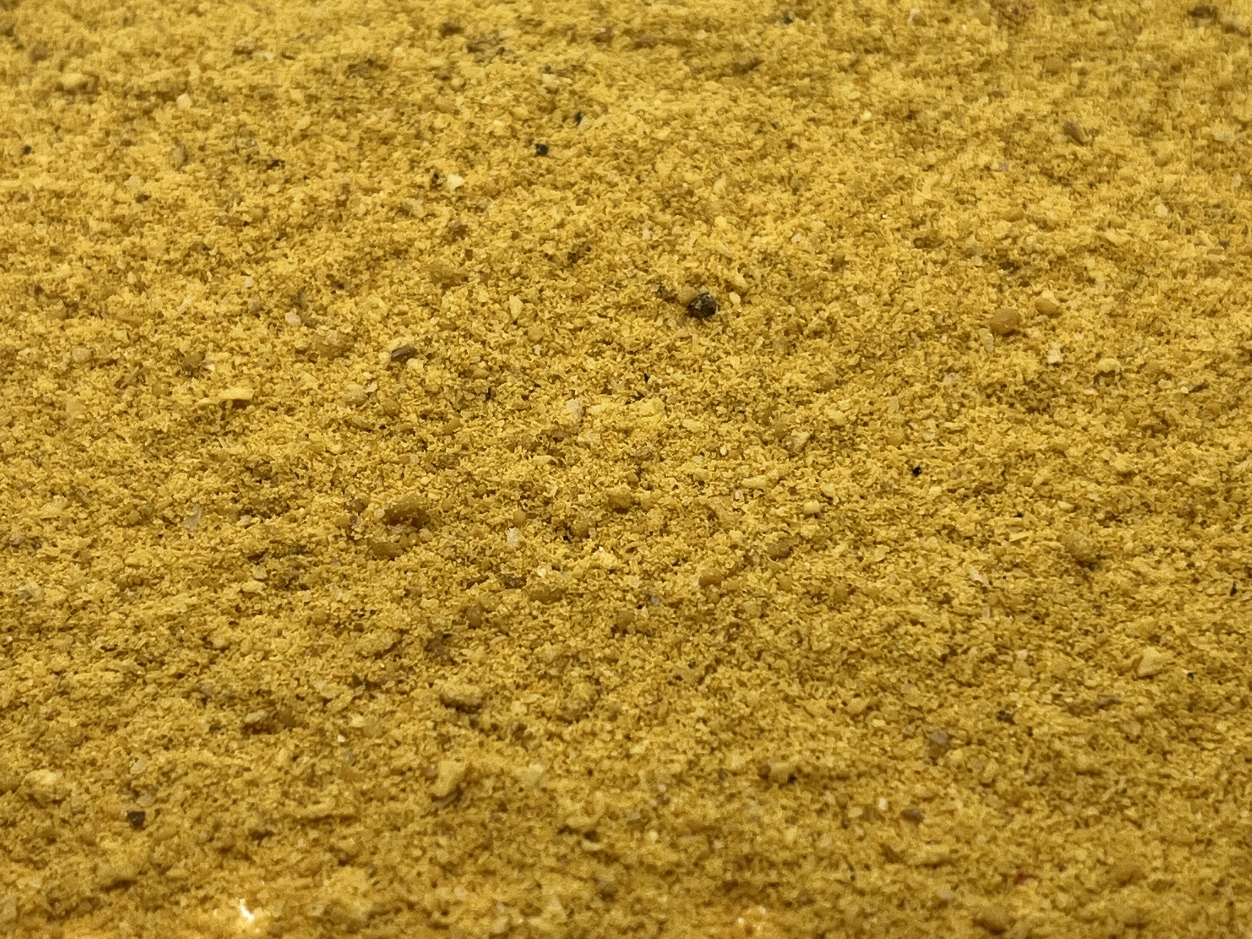 Immagine non trovata