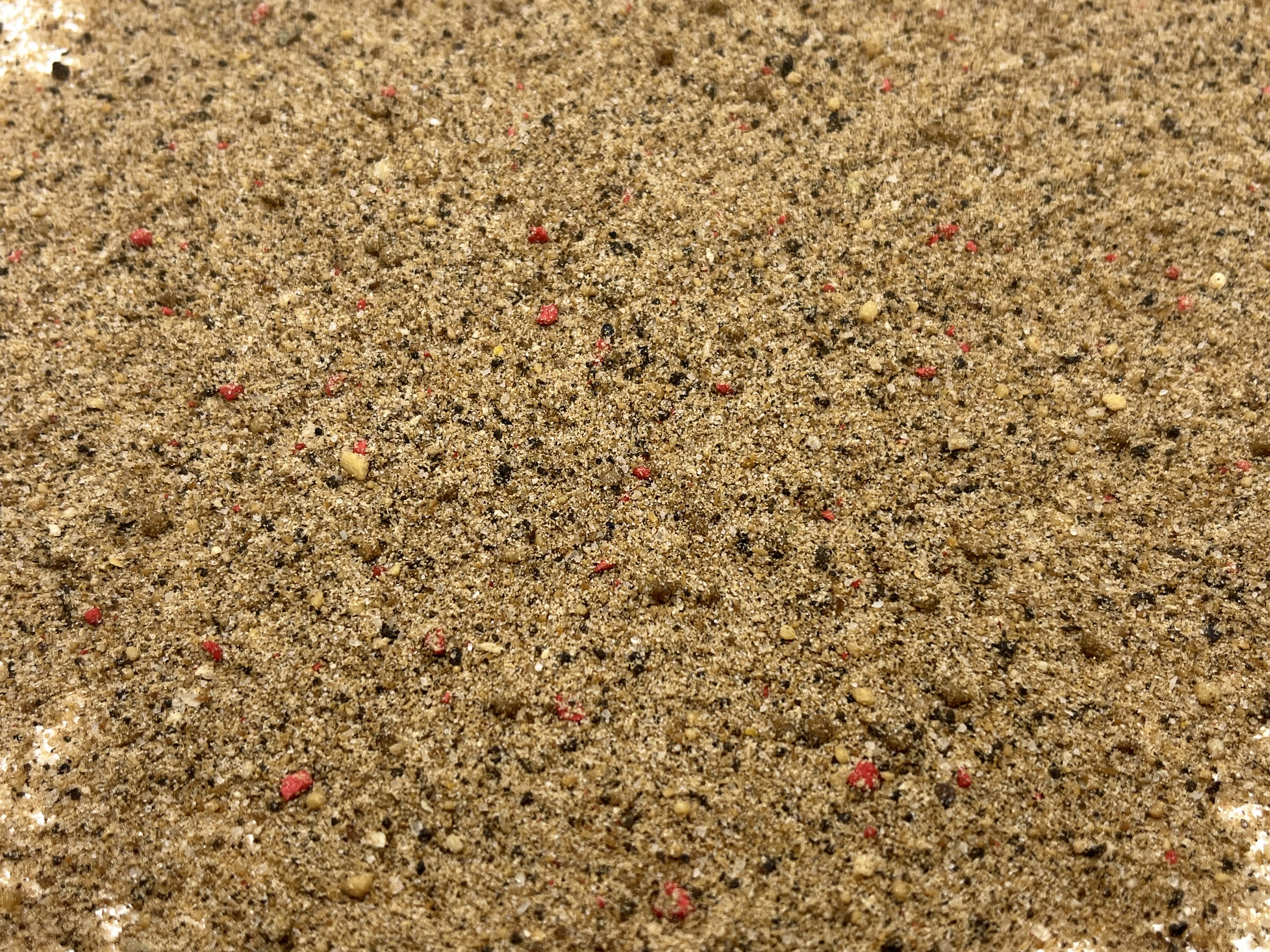 Immagine non trovata