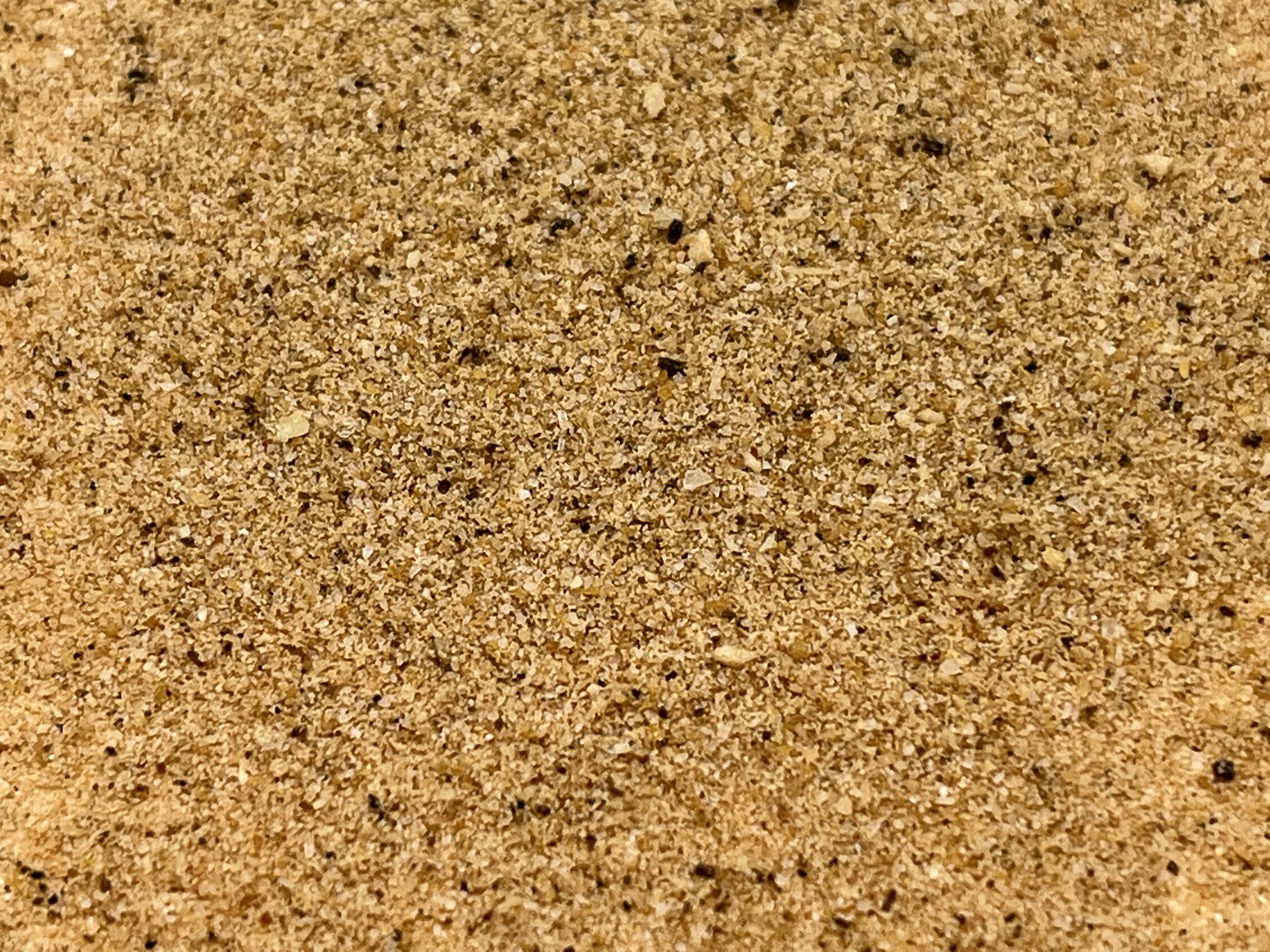 Immagine non trovata