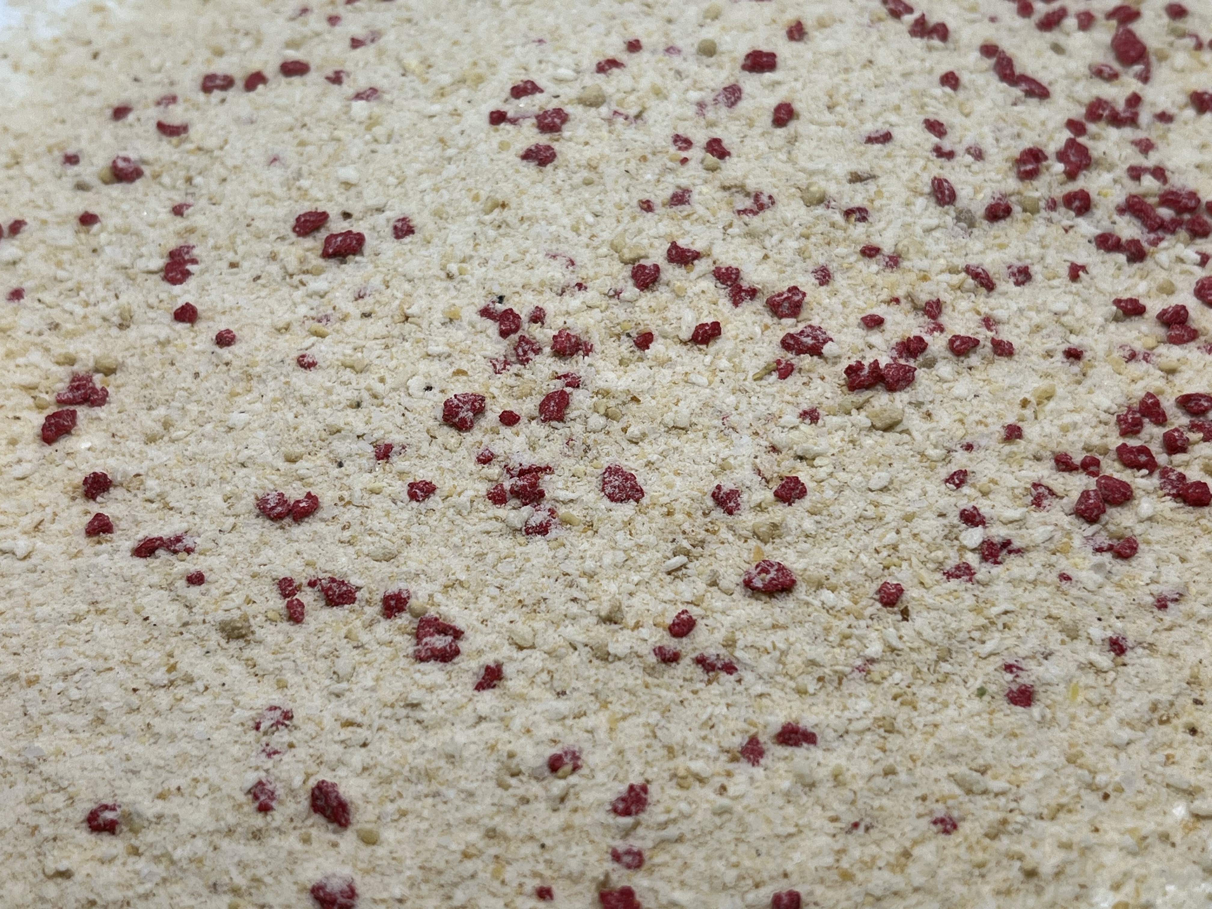 Immagine non trovata