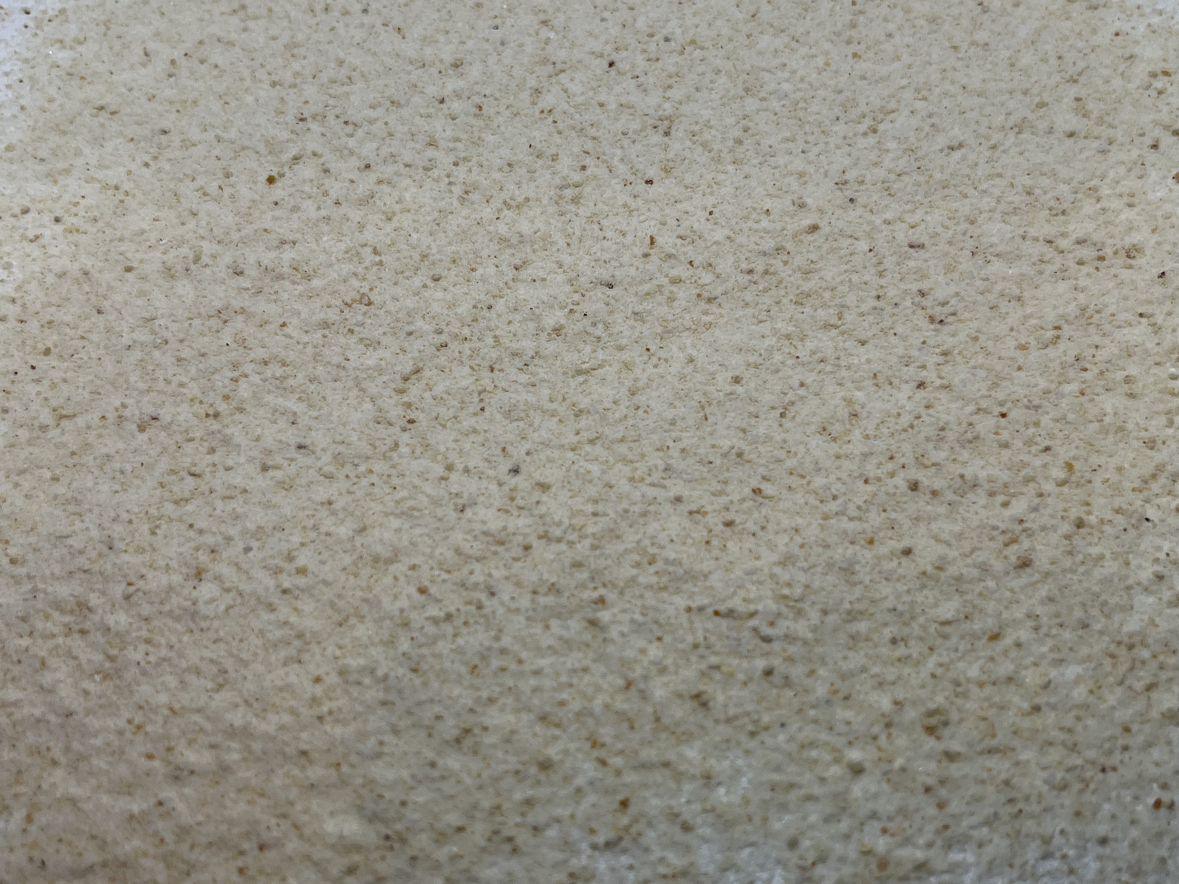 Immagine non trovata