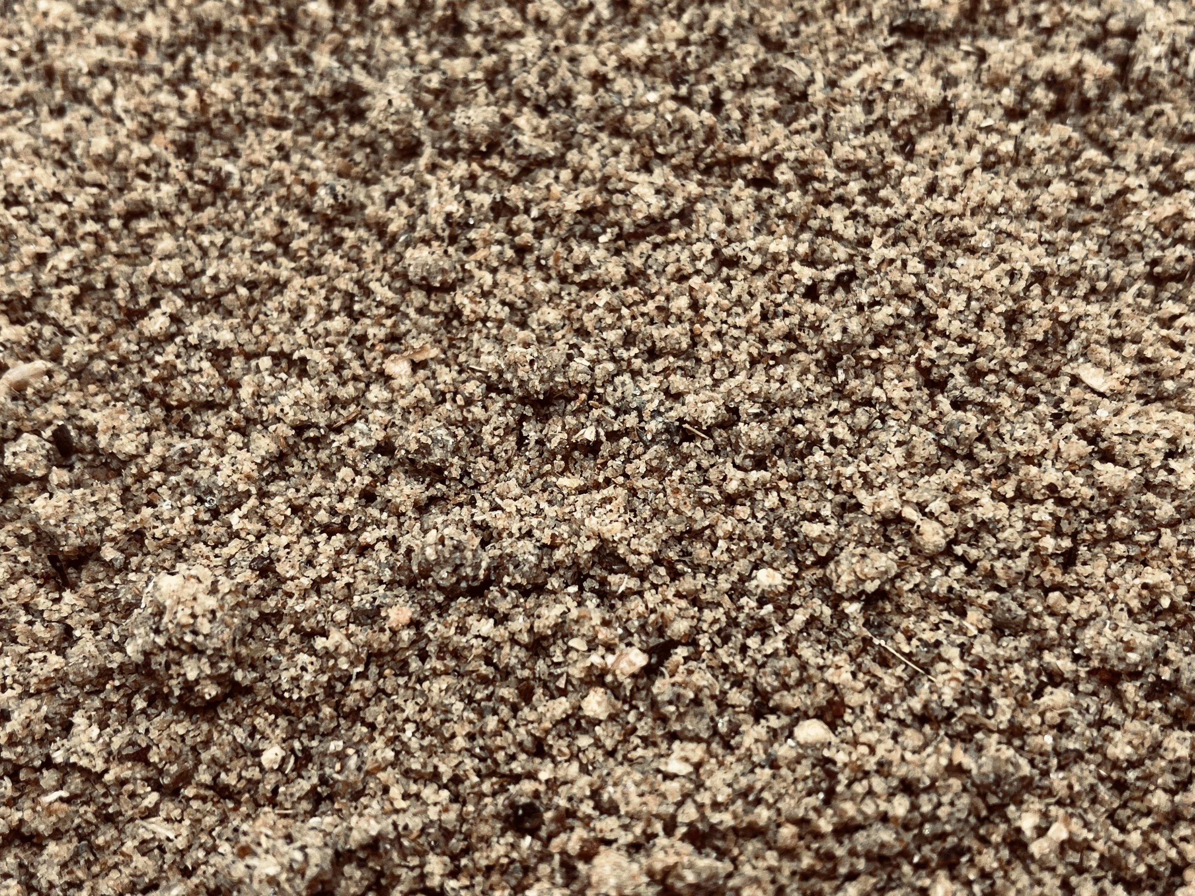 Immagine non trovata