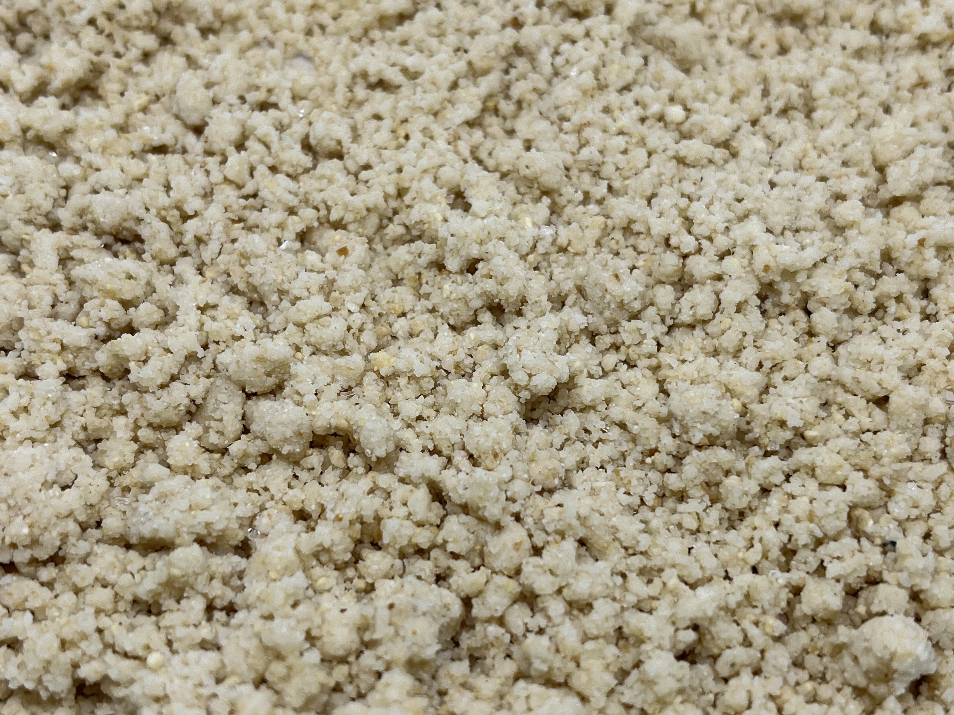 Immagine non trovata