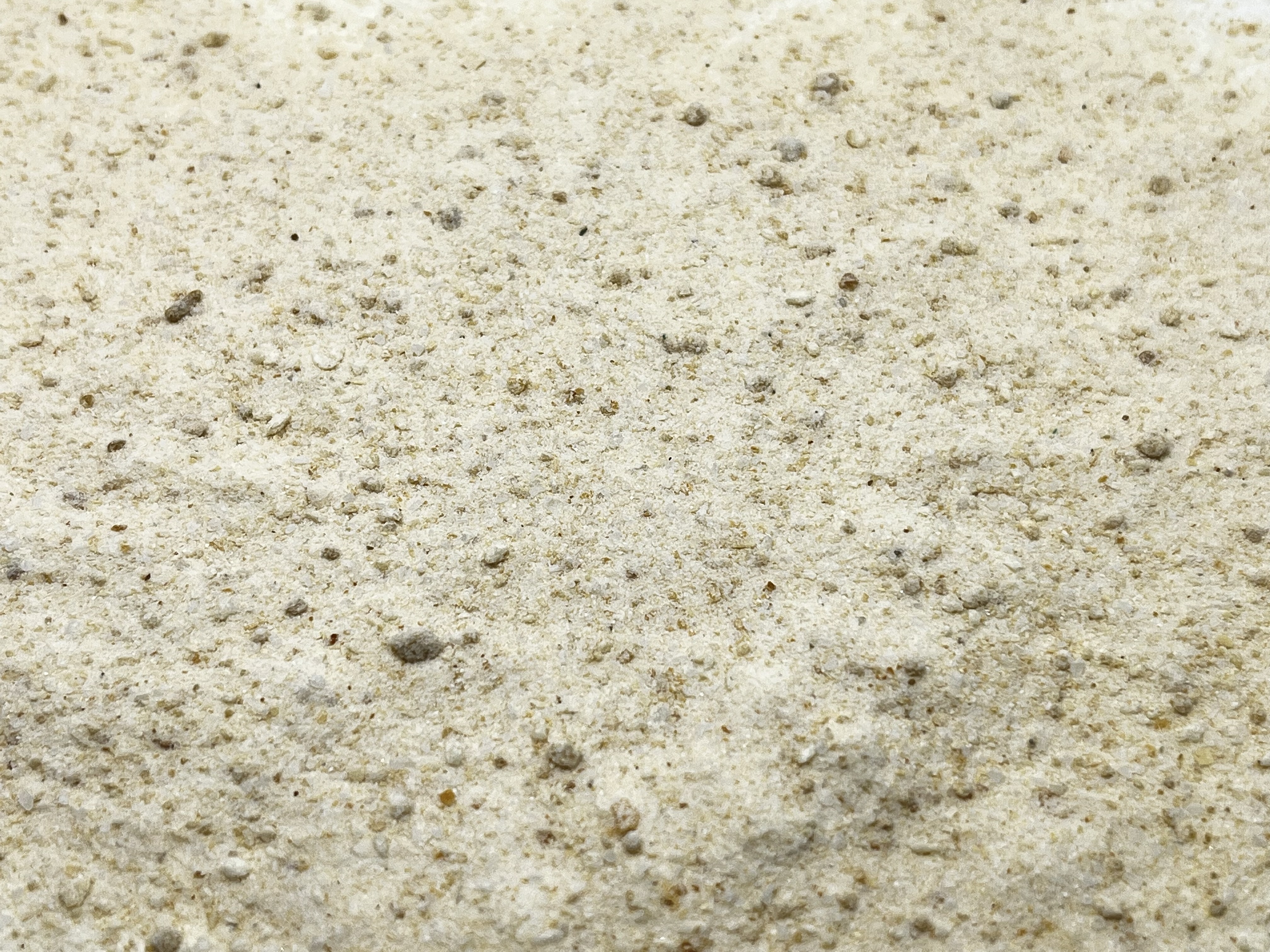 Immagine non trovata