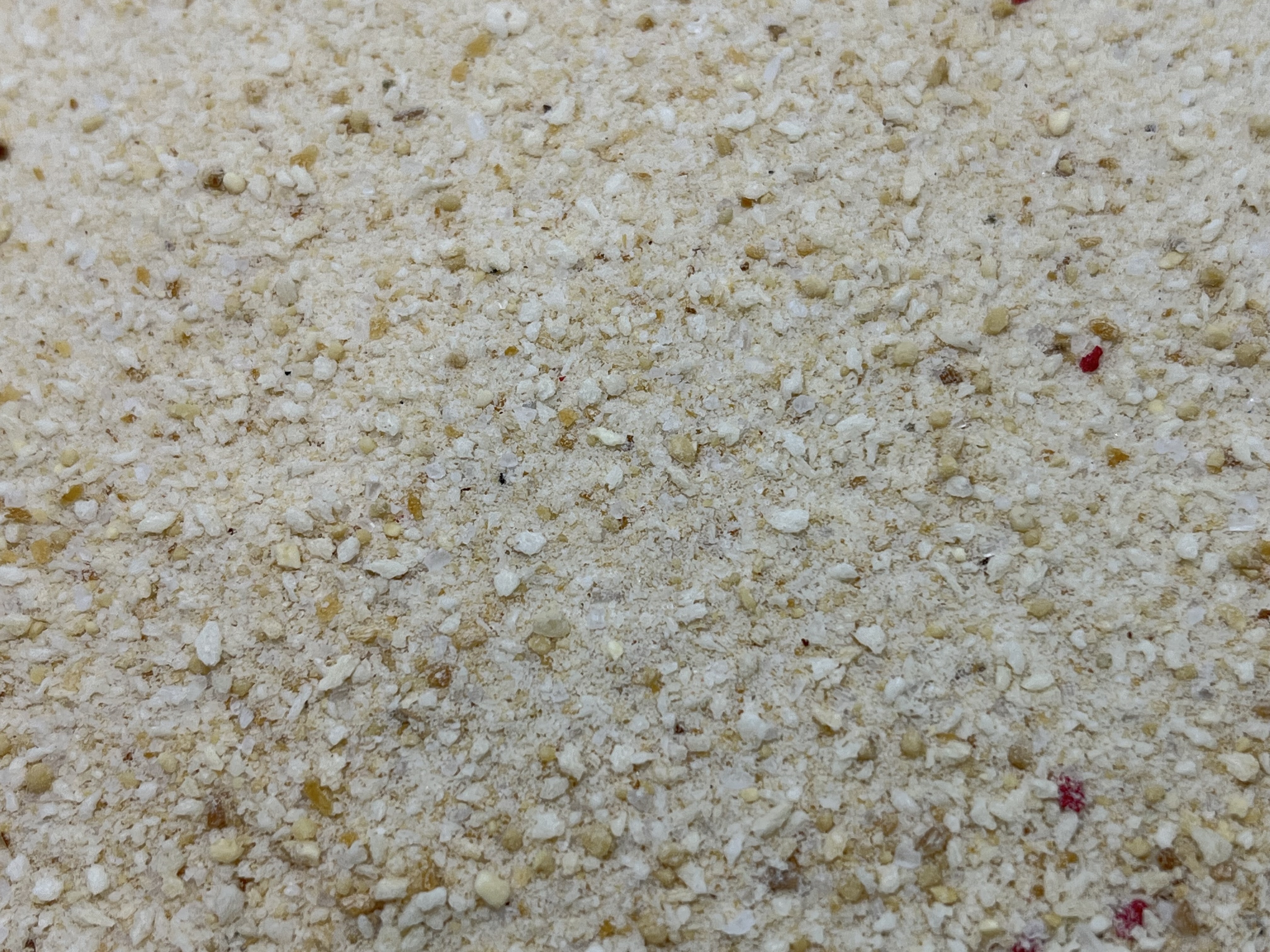 Immagine non trovata