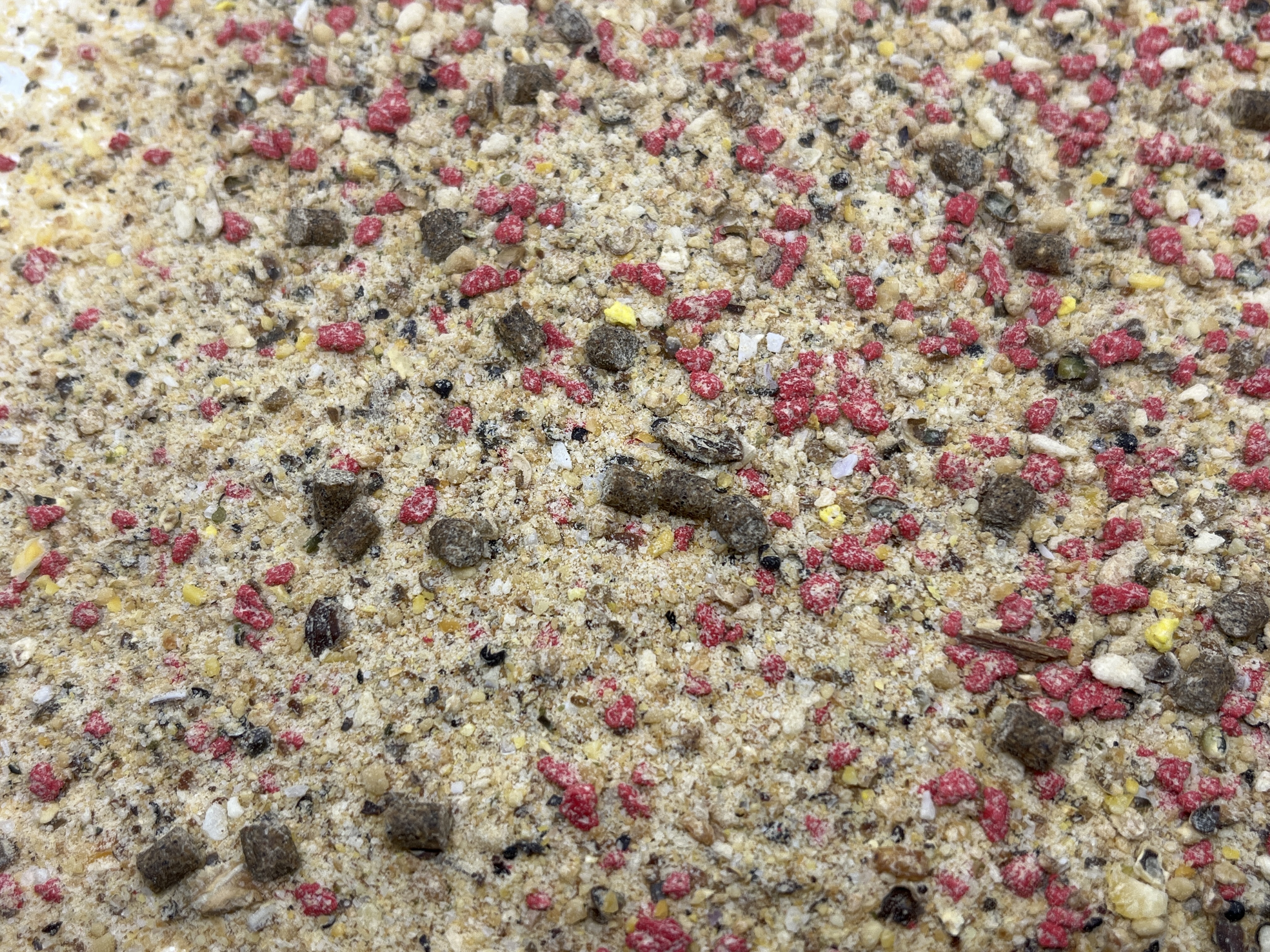 Immagine non trovata