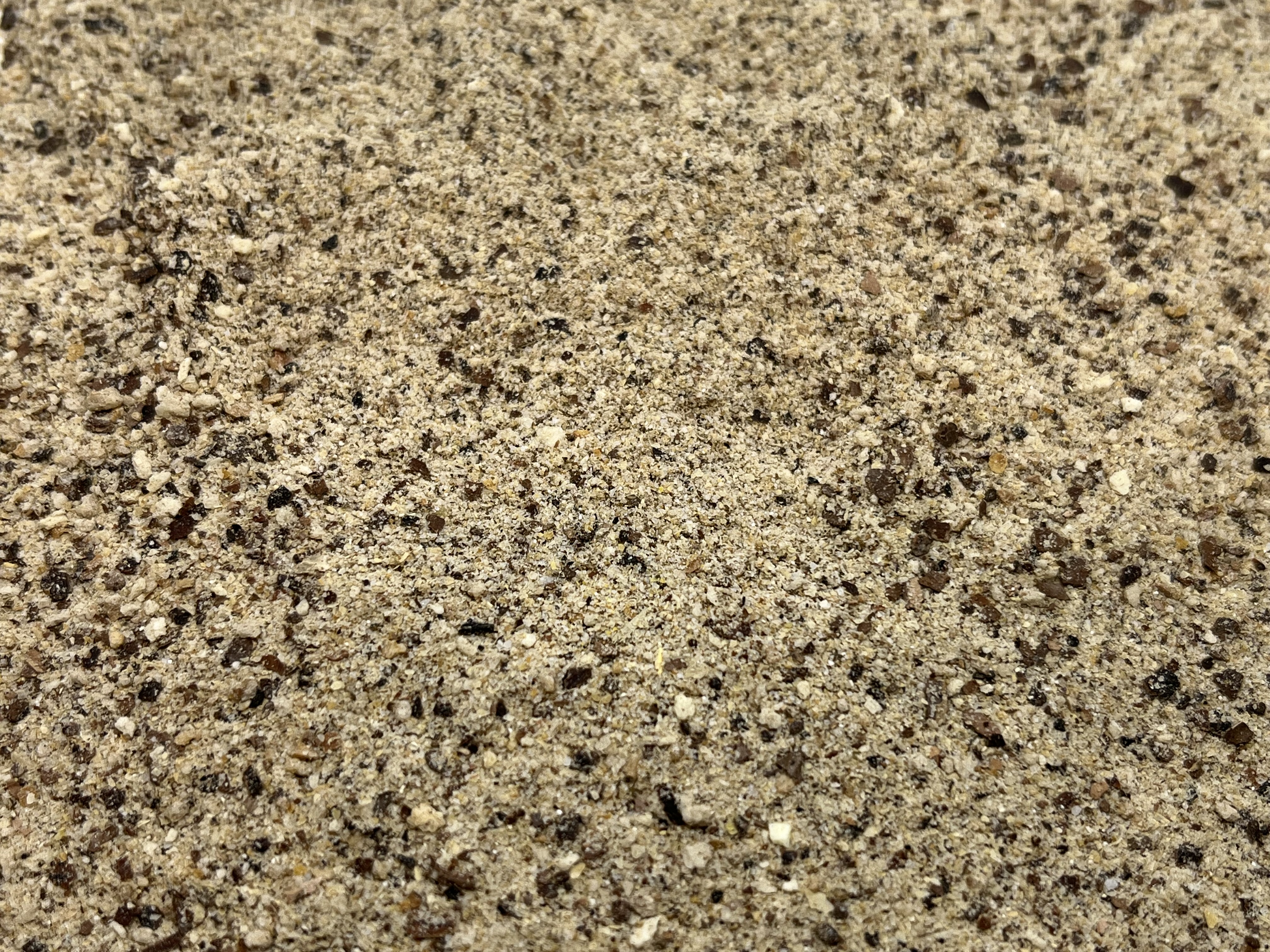 Immagine non trovata