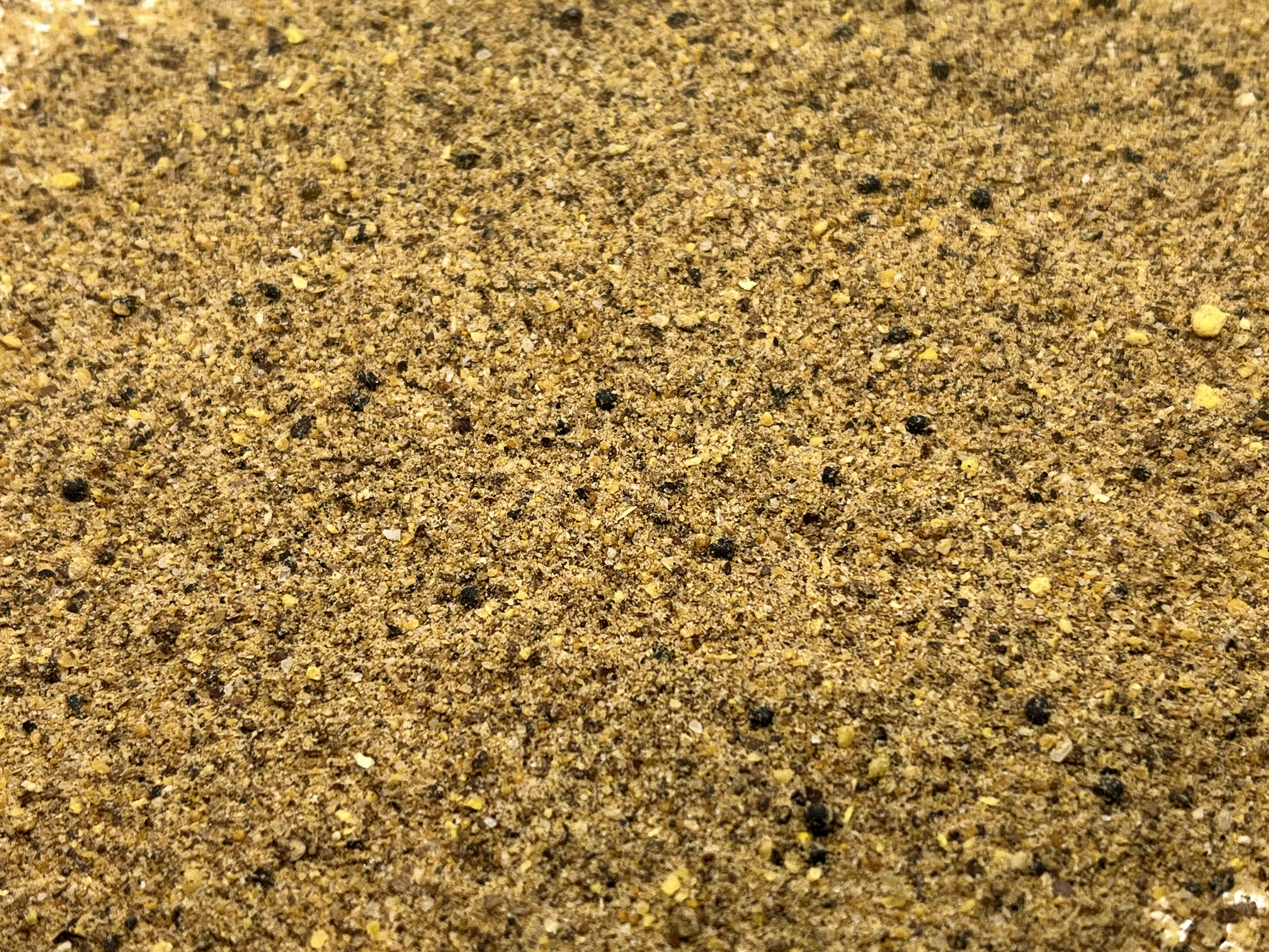 Immagine non trovata