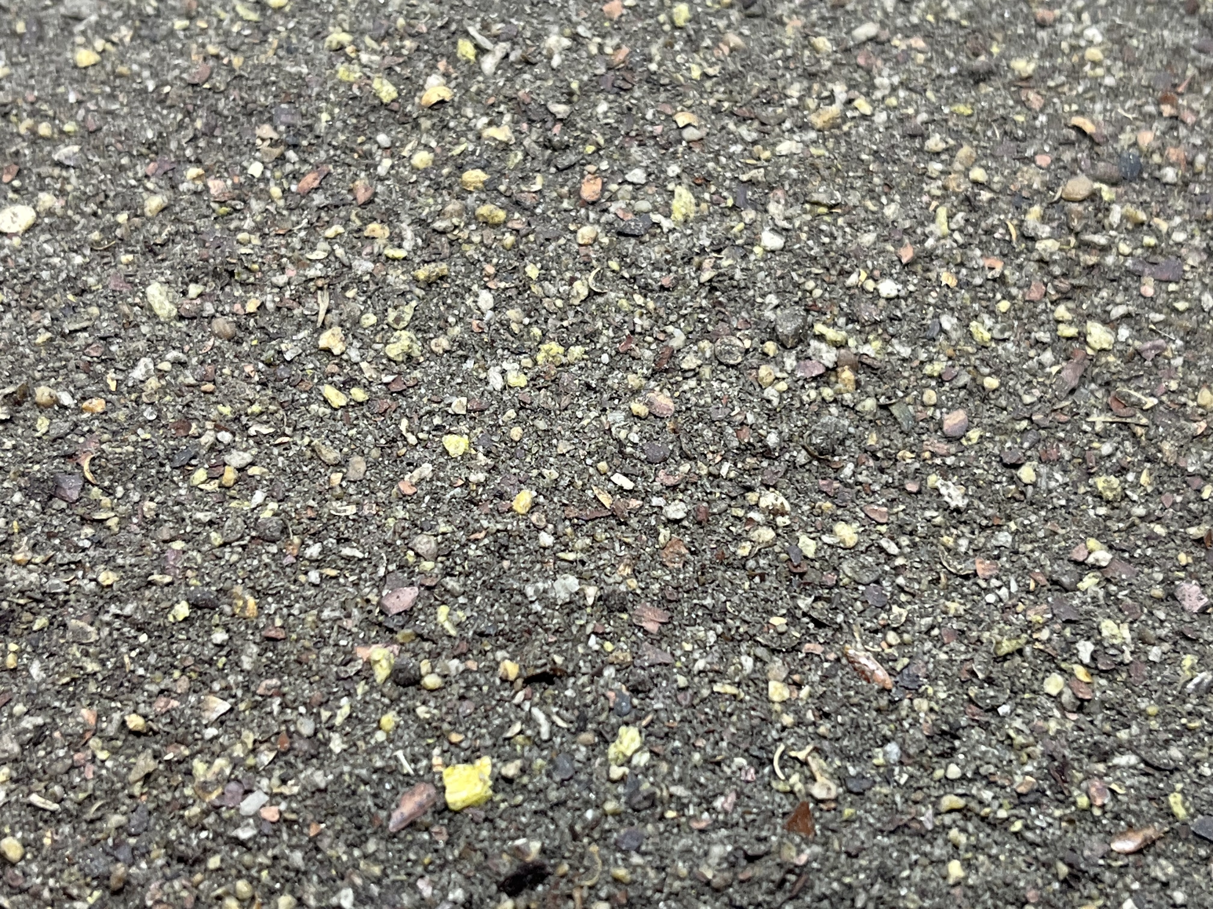 Immagine non trovata