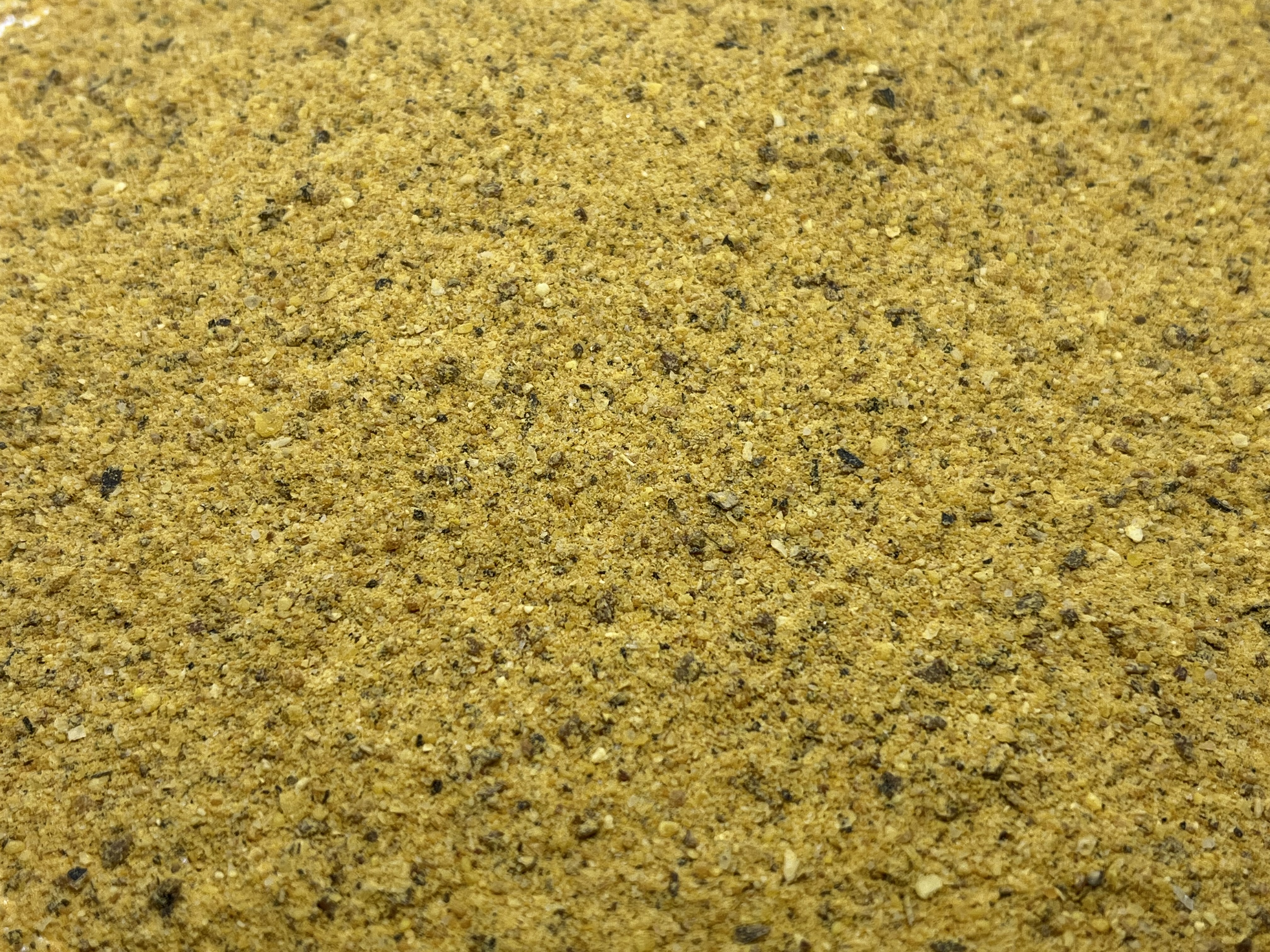 Immagine non trovata