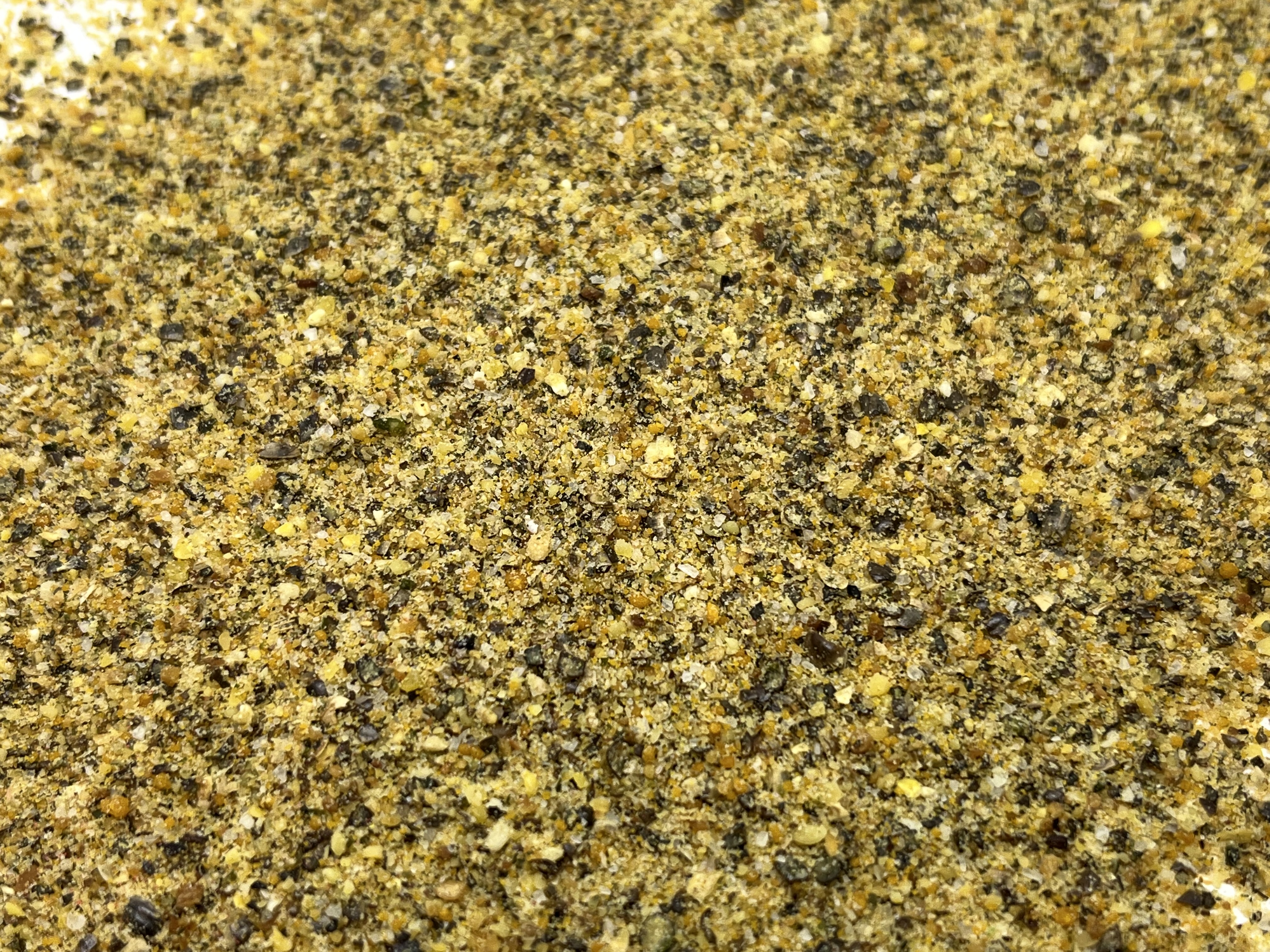 Immagine non trovata