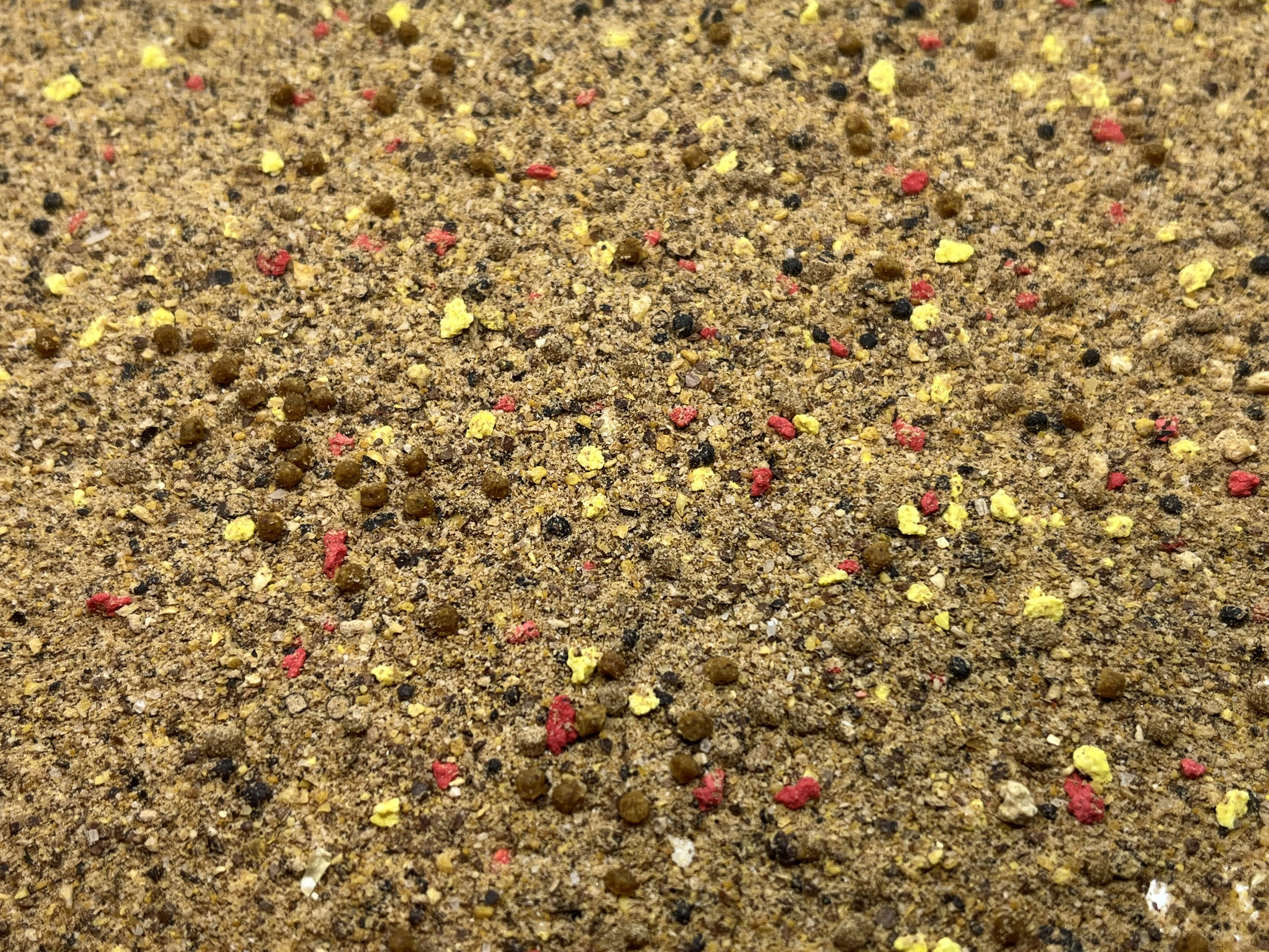 Immagine non trovata