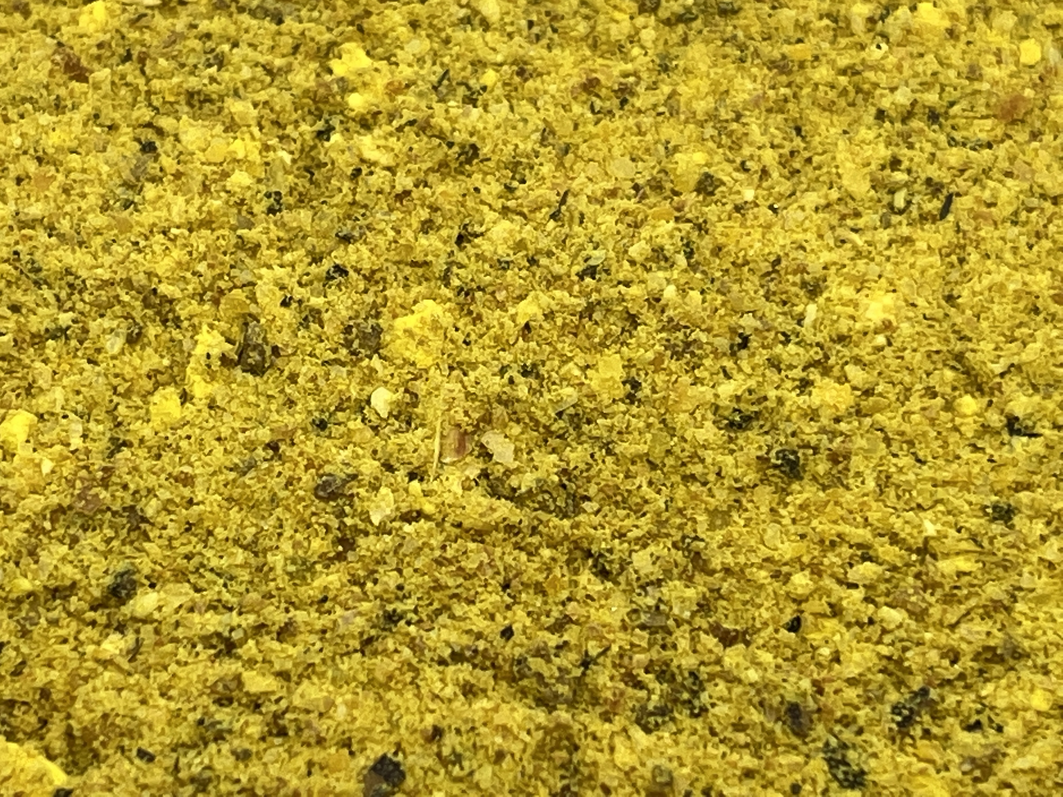 Immagine non trovata