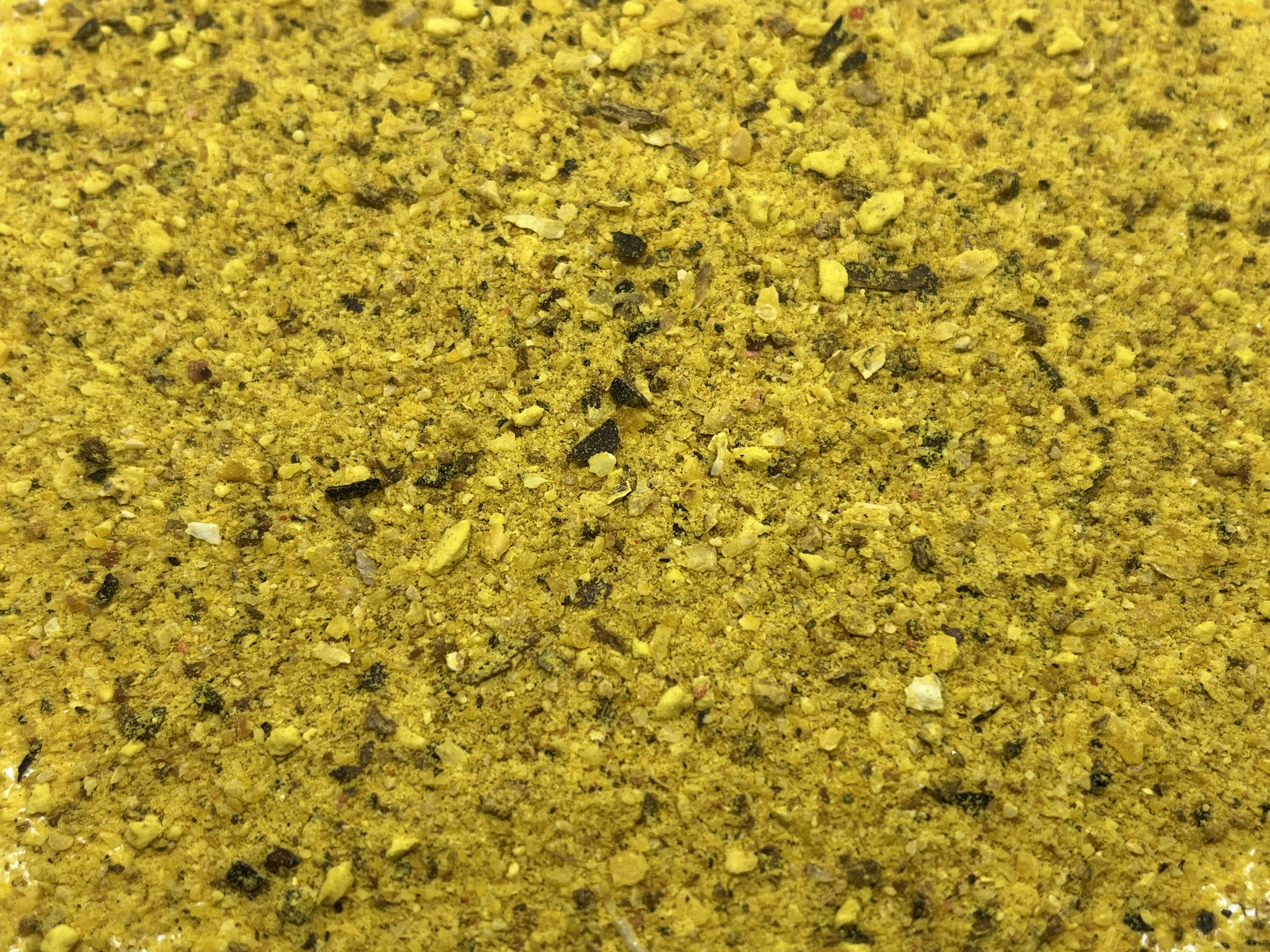 Immagine non trovata