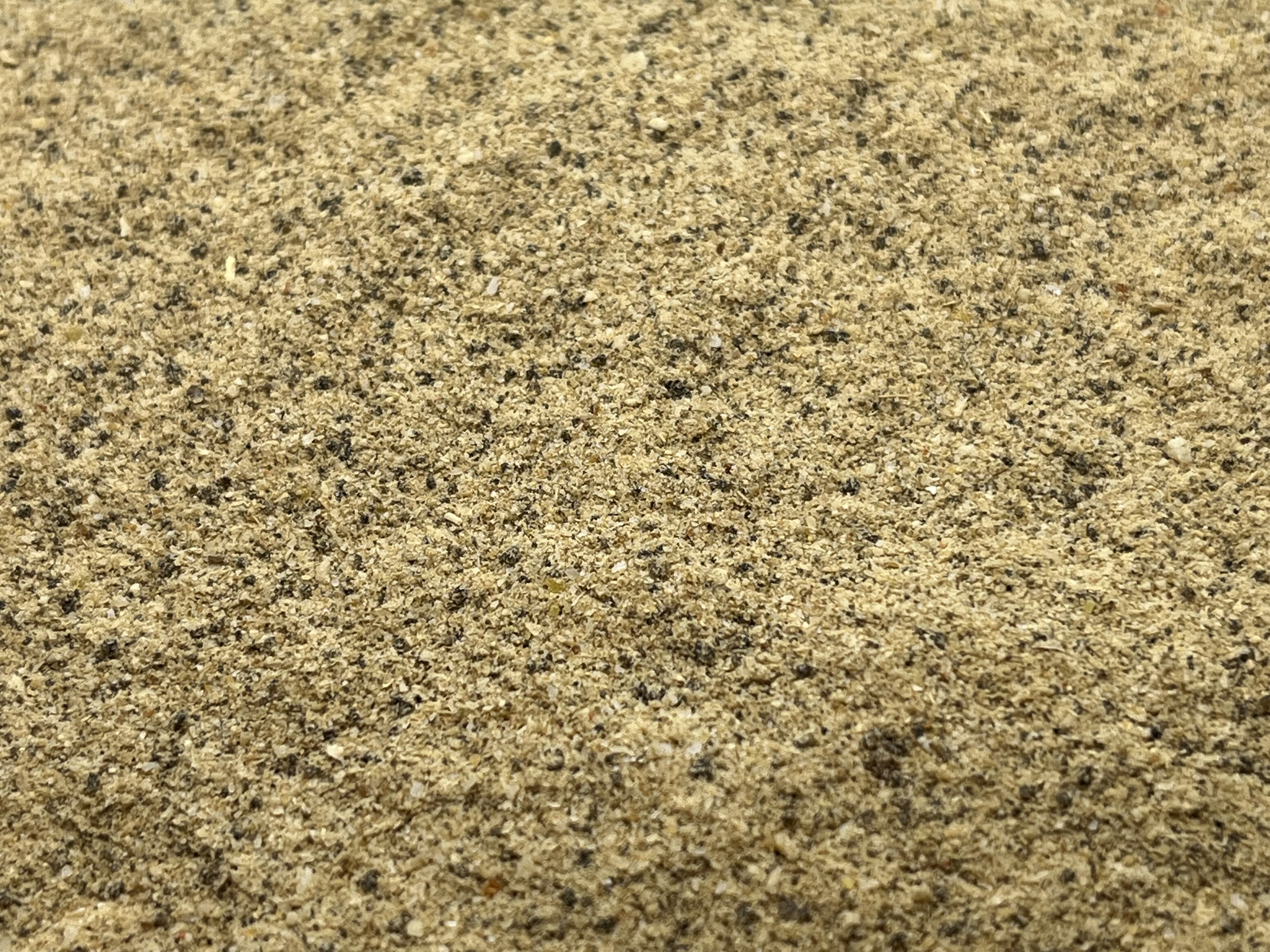 Immagine non trovata