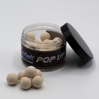 Immagine non trovata