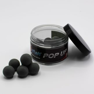 Immagine non trovata