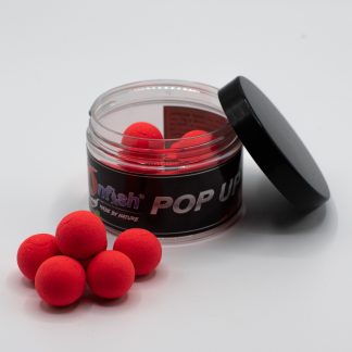 Immagine non trovata