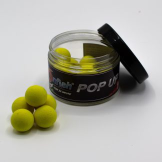 Immagine non trovata