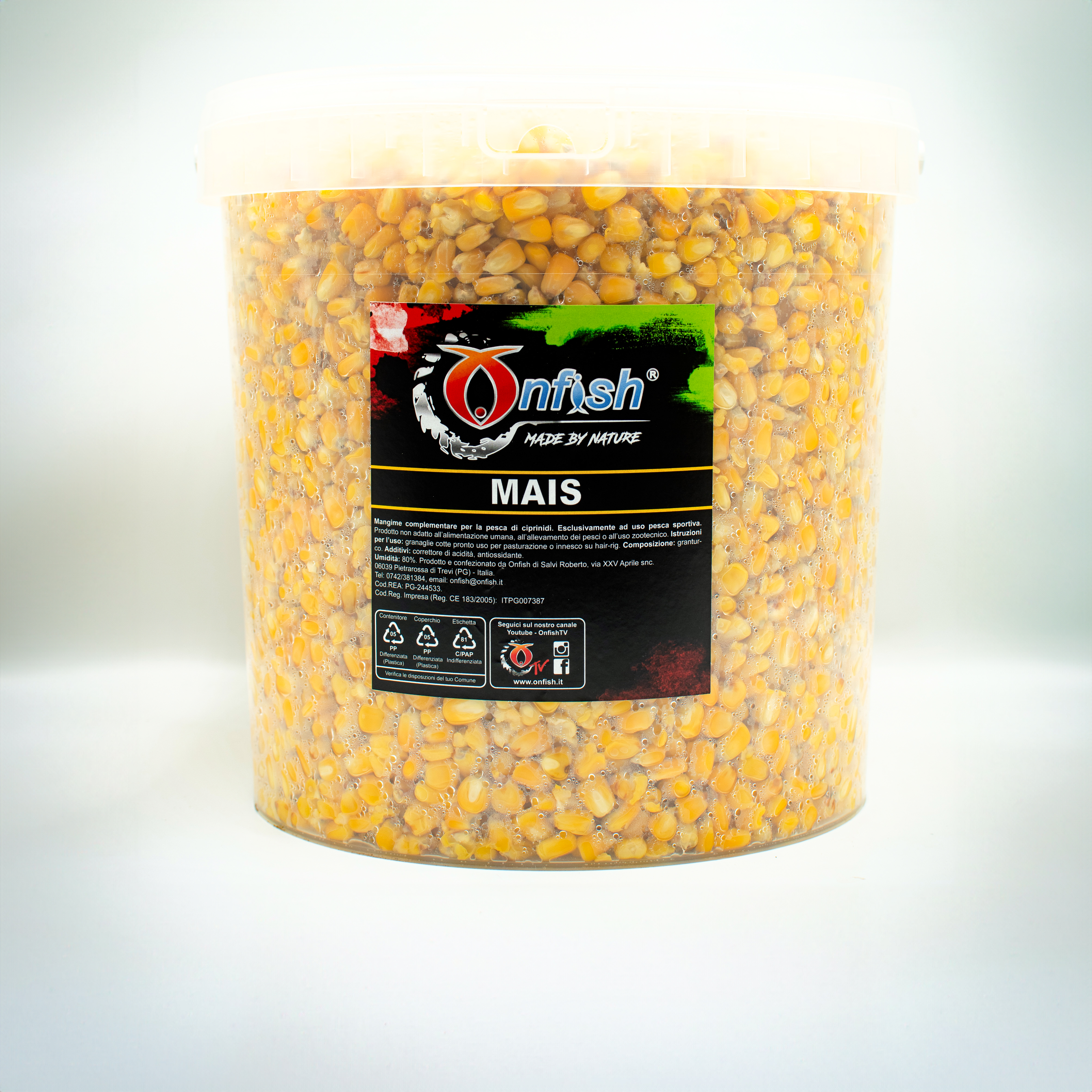 Immagine non trovata