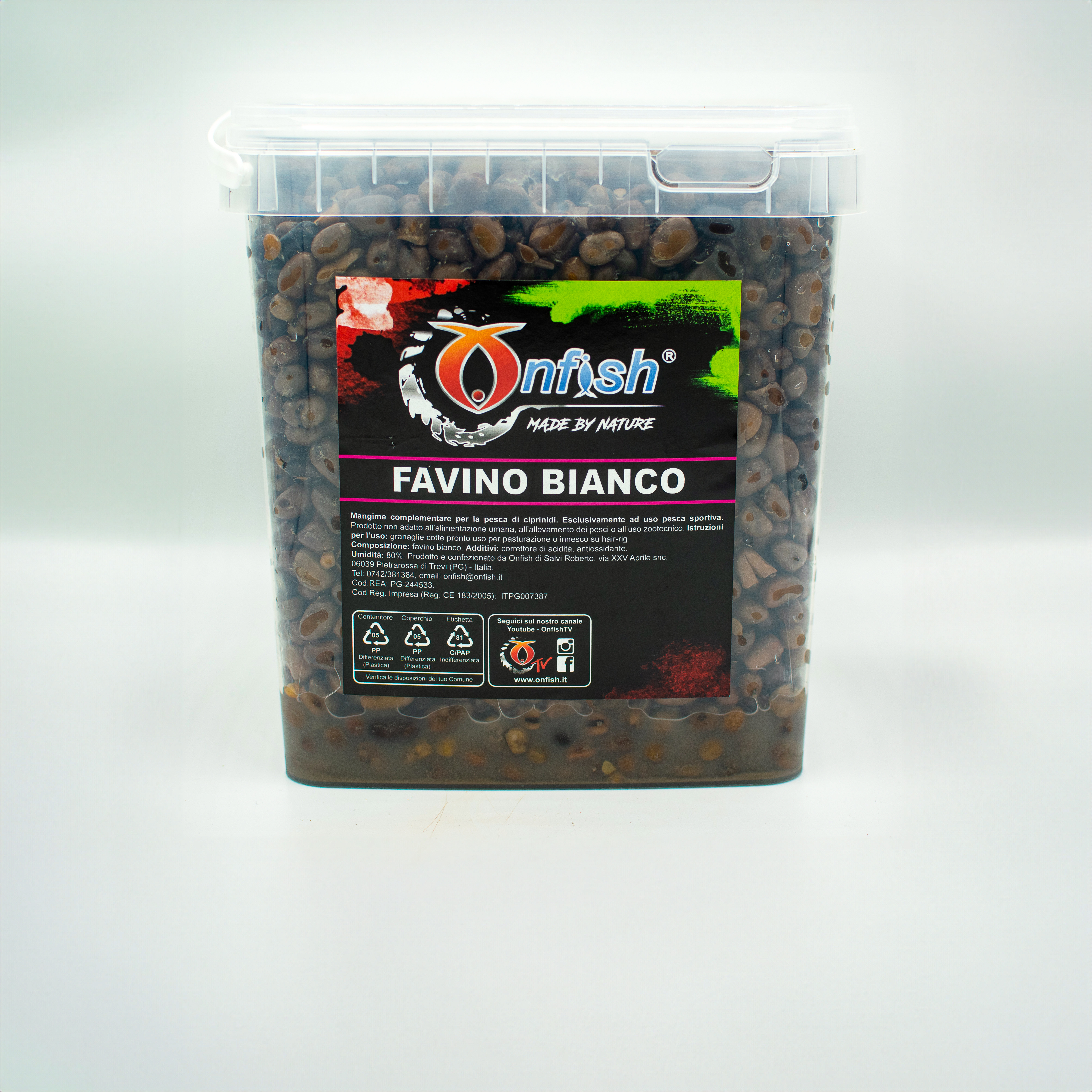 Immagine non trovata