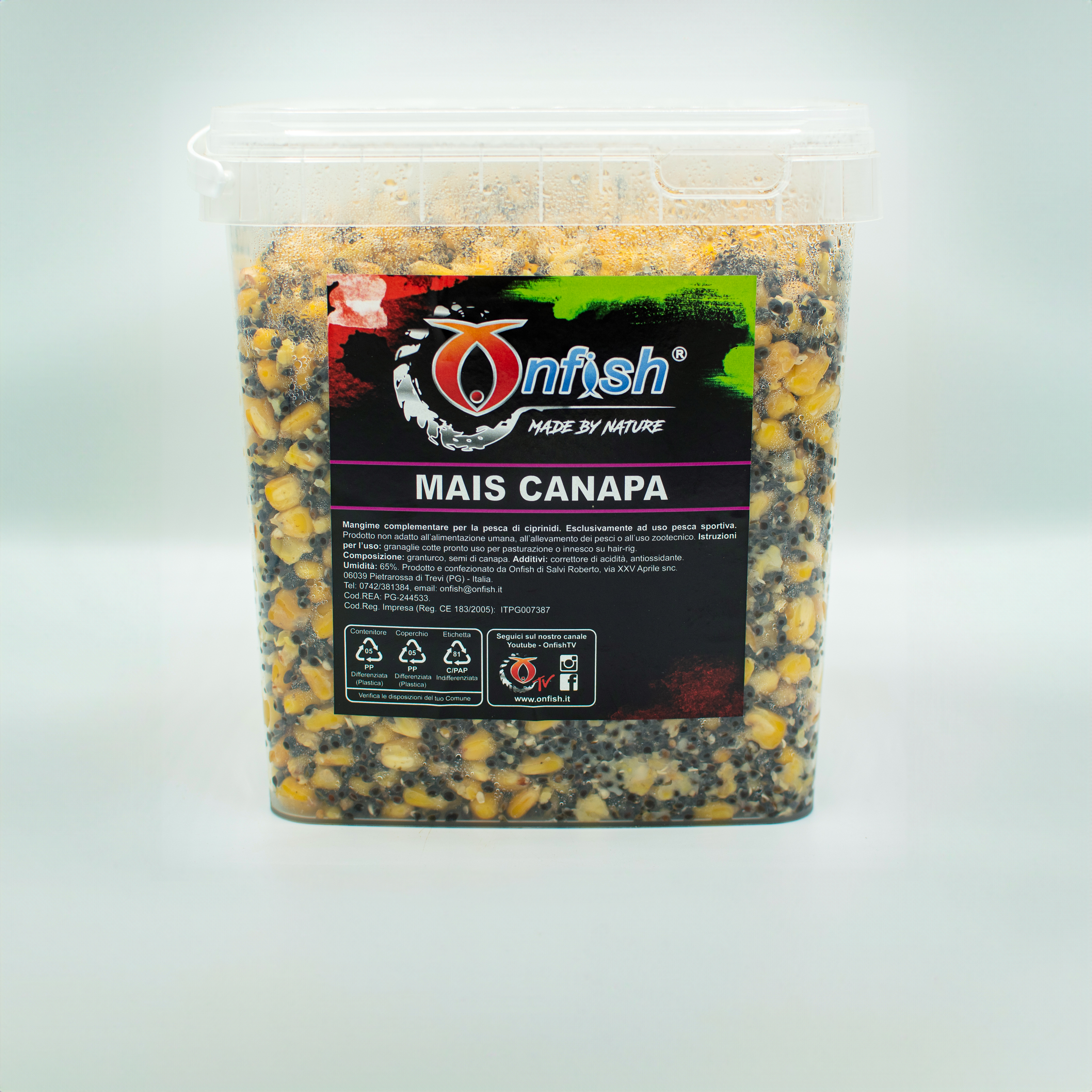 Immagine non trovata