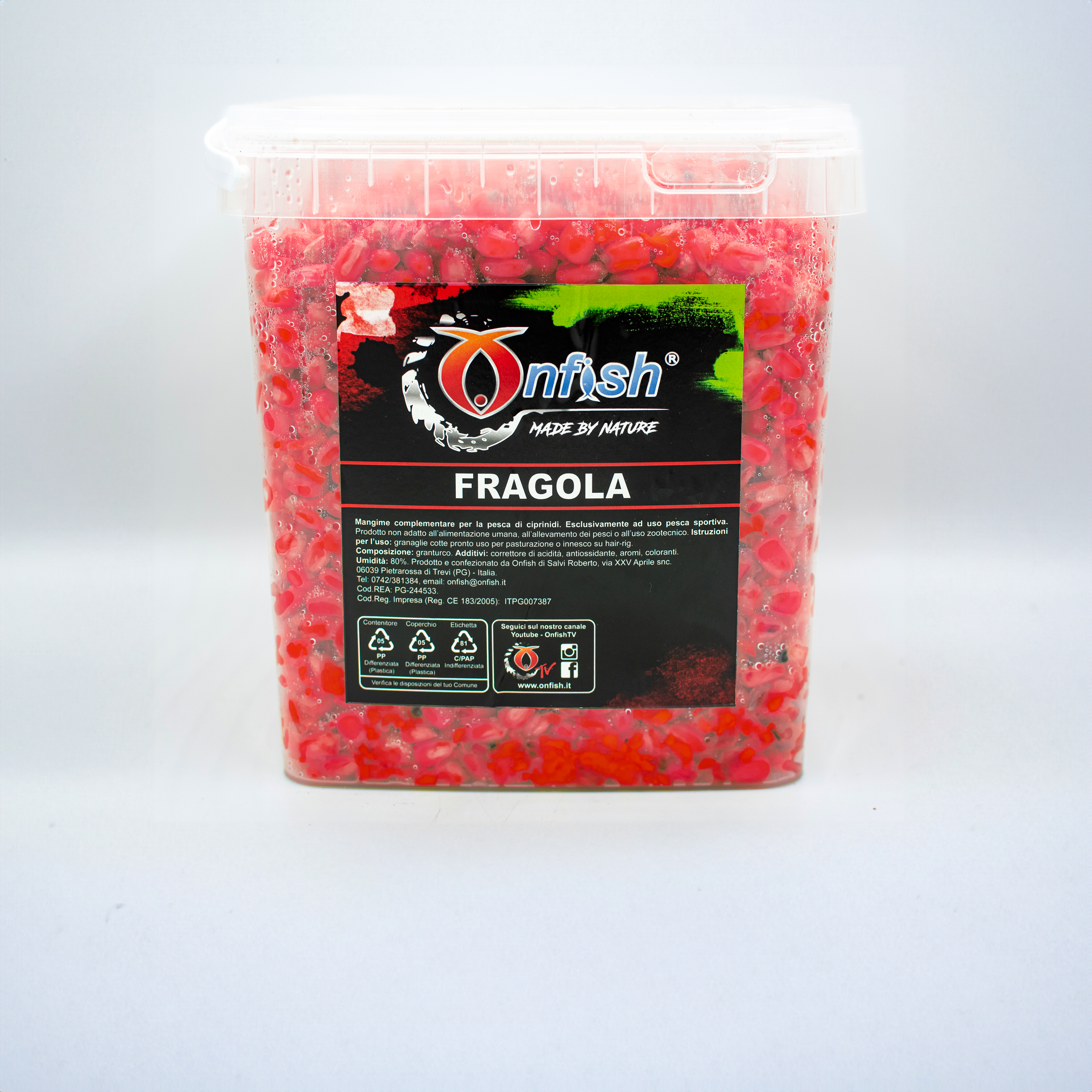 Immagine non trovata