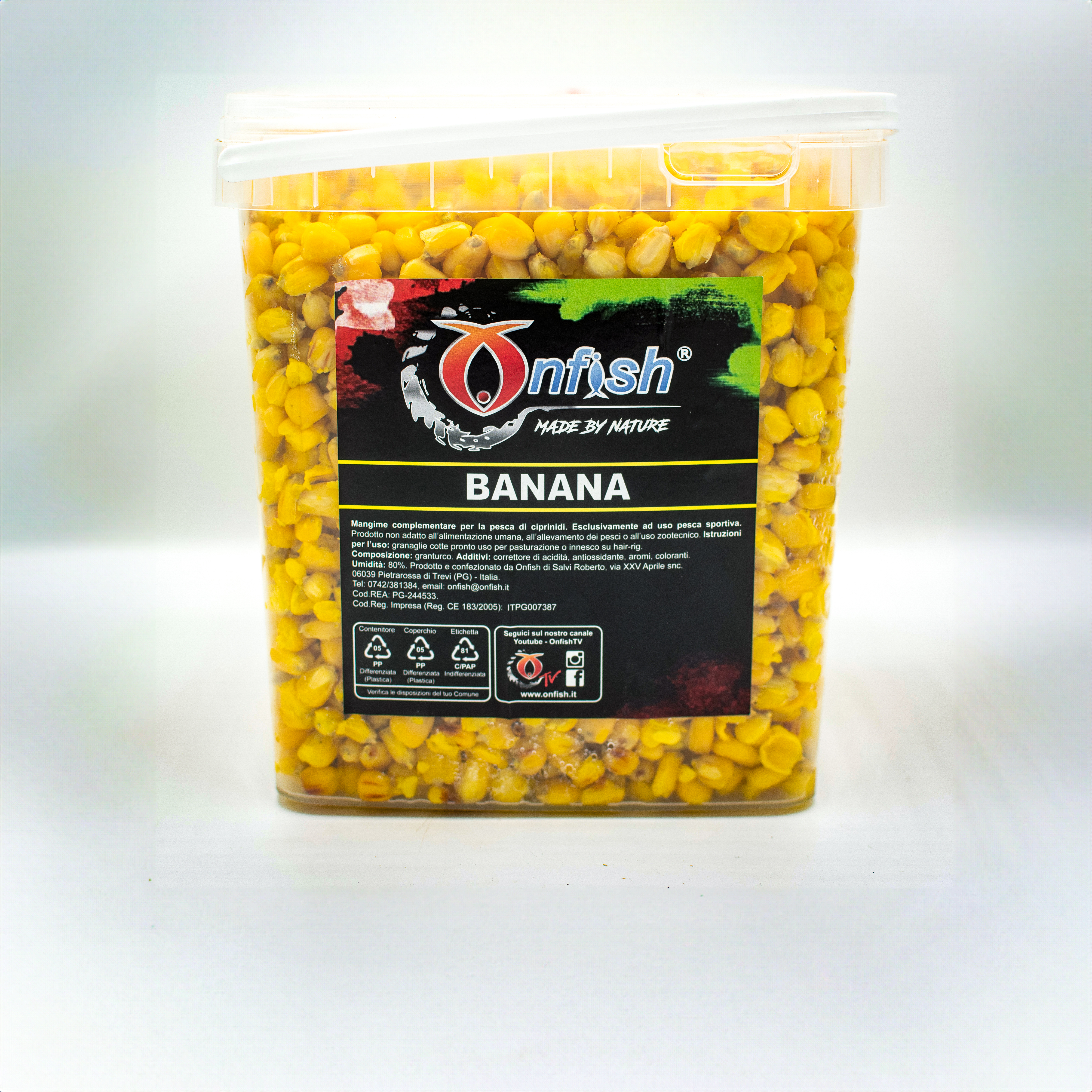 Immagine non trovata