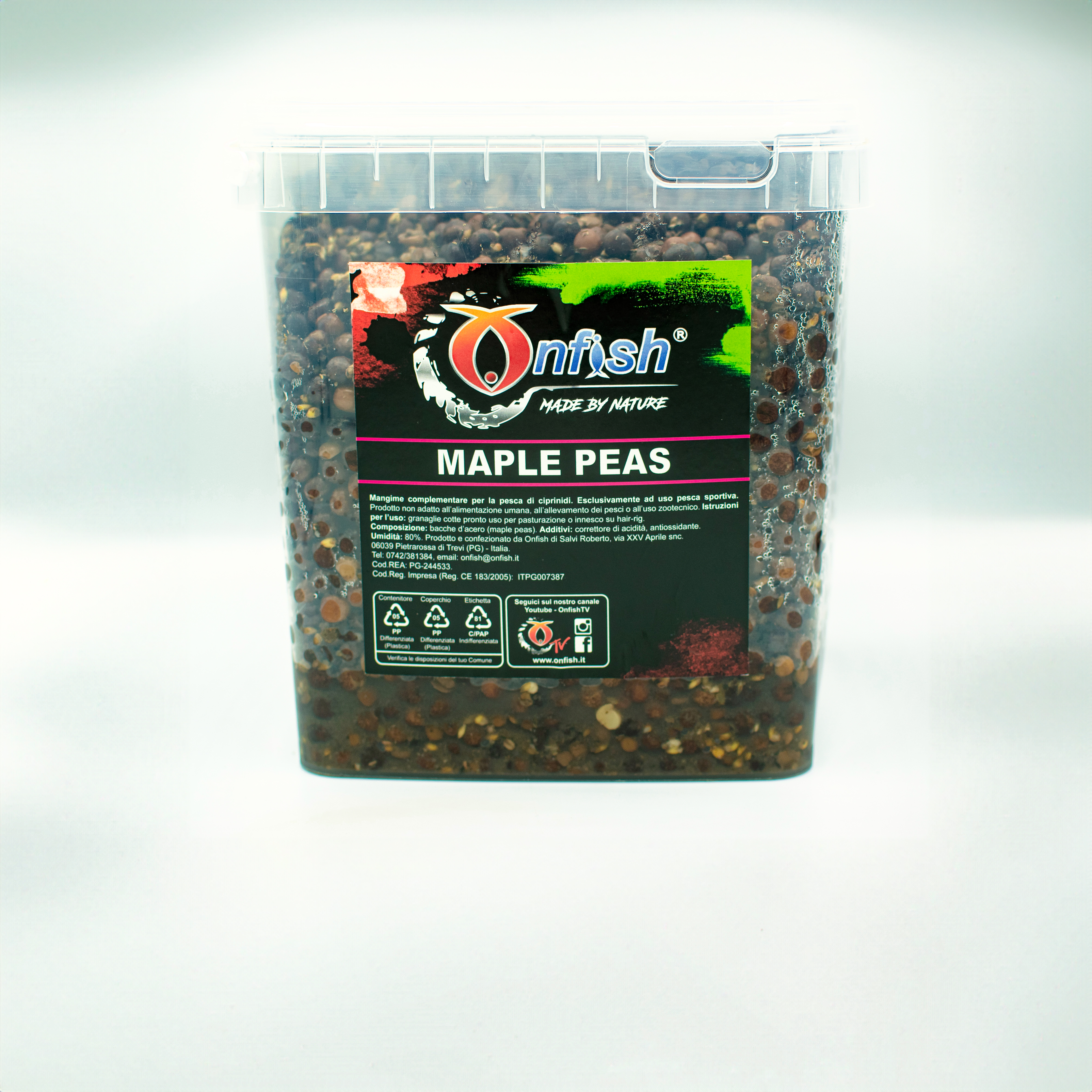 Immagine non trovata